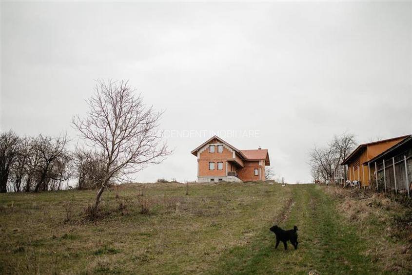 FILM! Casa si domeniu de 5.000mp, in Berchez:o bijuterie ascunsa a Maramuresului - 4
