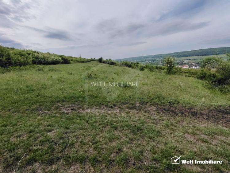 8.700 mp pentru dezvoltare rezidentiala la 3 km de CREIC - Chinteni - 6