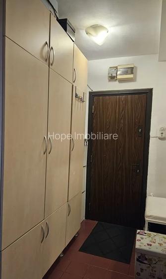 Tineretului-strada Trestiana -apartament 3 camere - 2