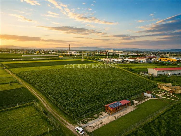 Film!Potential rezidential/investitional, 5.000 mp intravilan,priveliste Muntii - 5