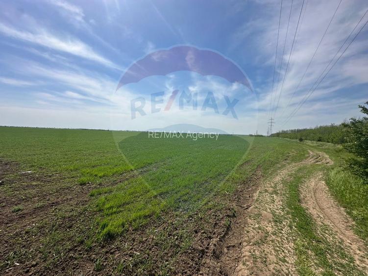 Teren 138.104 mp Dragomiresti-Vale, Ilfov, langa A0 - 6