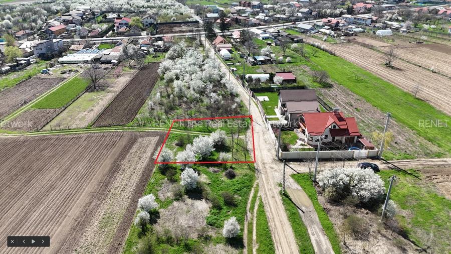 TARTASESTI, LOT 801 MP! - 3