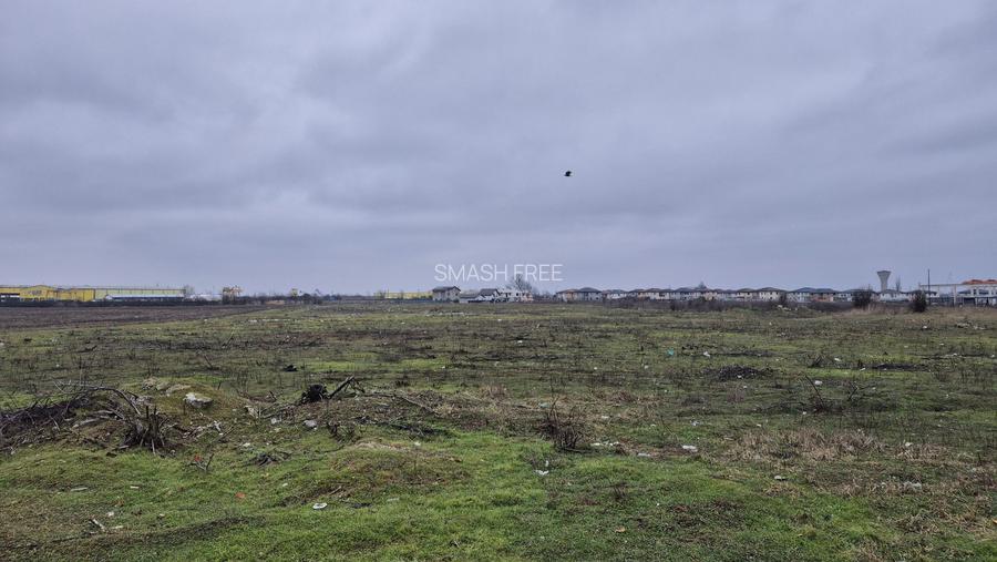 Teren intravilan 31497 mp - Chitila zona industriala de hale - 3