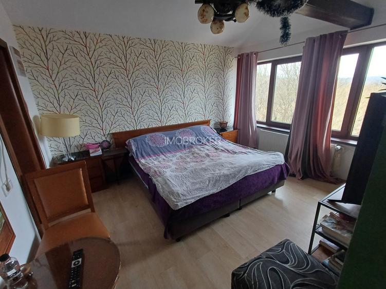 Vand vila superba Faget - 8