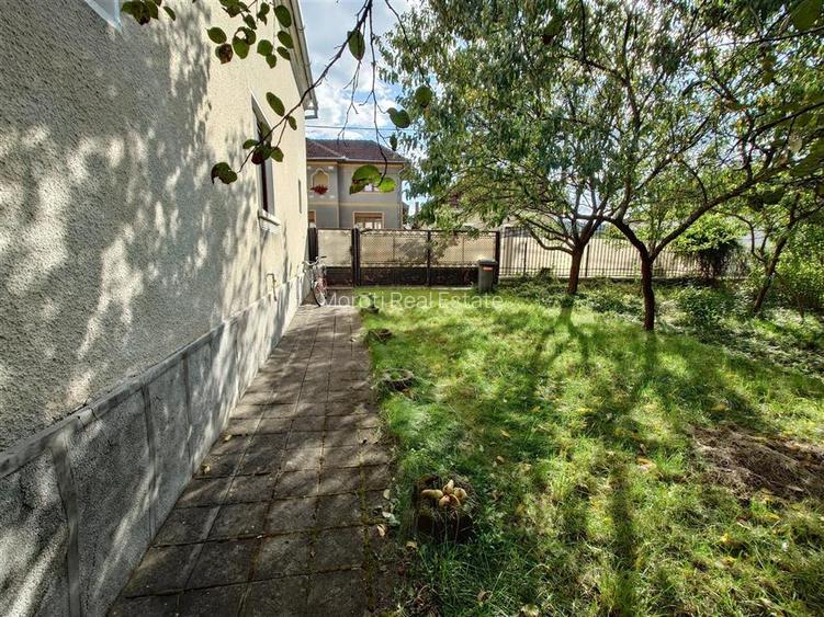 Casa cu aer nobil in Baia de Cris - 13