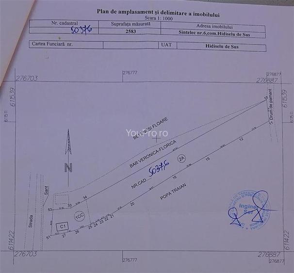 Vand teren in Santelec - 6