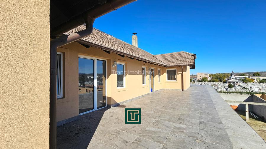 Proprietate multifunctionala - teren generos, cladire si hala in Lugoj - 13