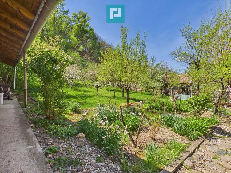 Casă Câmpani, 8000 mp teren, la poalele Apusenilor - 17