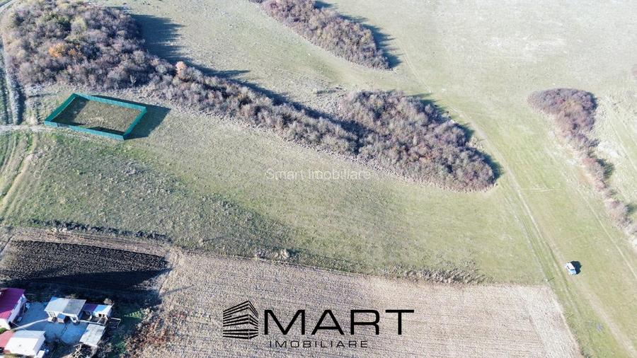 Teren extravilan 650mp Rusciori - 3