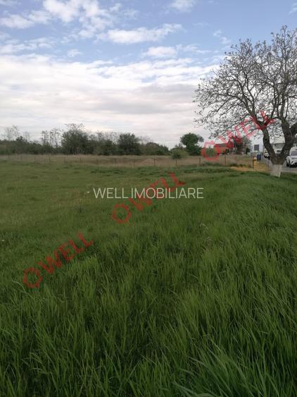 Teren intravilan de vânzare în Moacșa (Eresteghin)! - 10