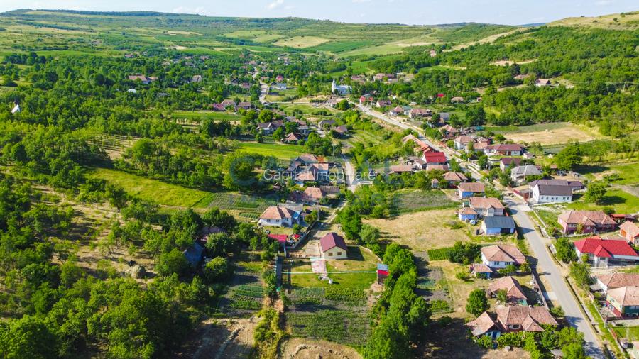Casa cu teren de 3100 mp de vanzare in comuna Cornesti - 15