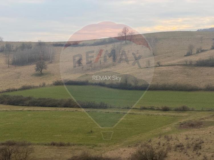 Teren generos 3400 mp în Pâclișa – Criseni zona linistita - 2