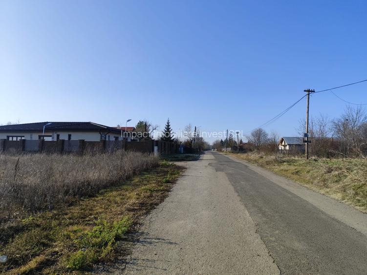 Gradistea/Zona padure - 4