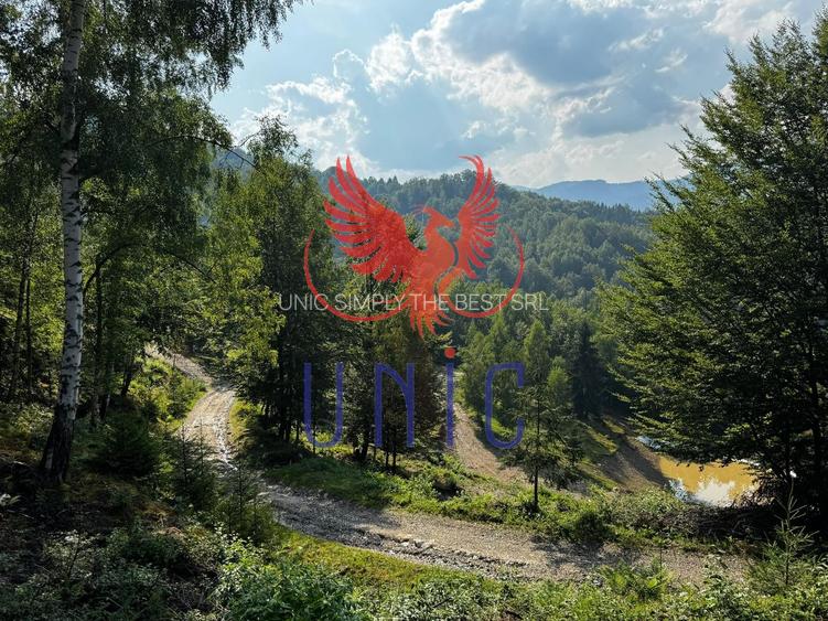 18000 mp de natura pura ,Lupeni, langa Straja - 5