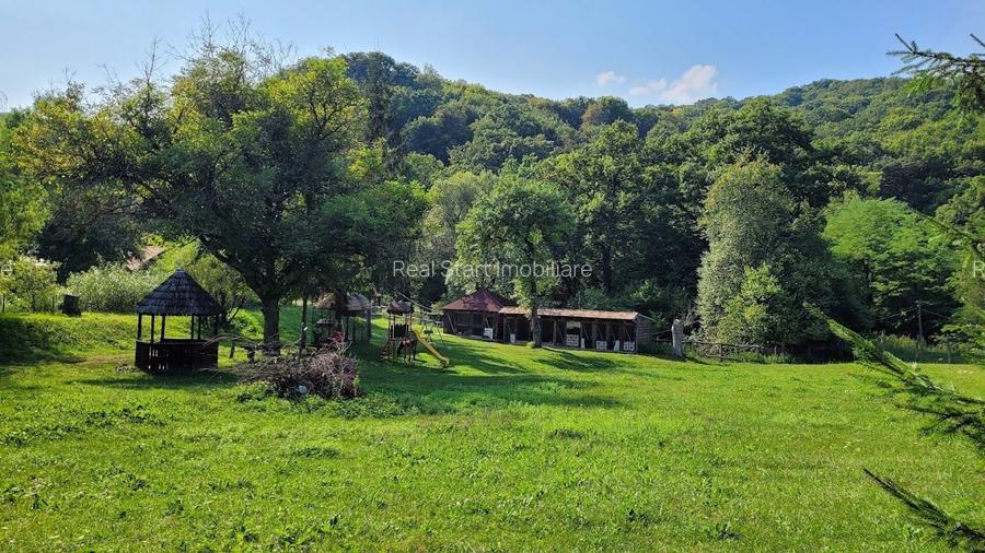 Oportunitate, Restaurant cu MiniPensiune 800mp, 1,8ha teren, Via Transilvanica - 19