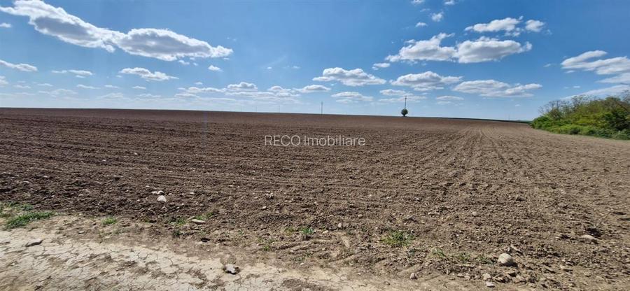 RECO Teren extravilan in Oradea 13000mp - 4