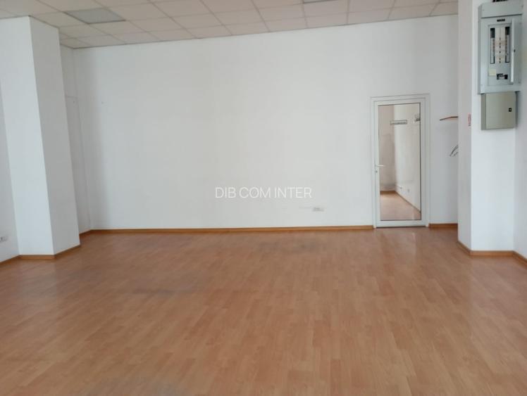 Spatii de birouri de inchiriat 90-150mp, Logofat Tautu - 3