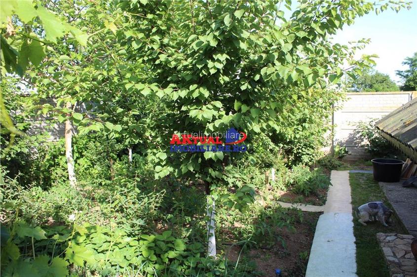 Tartasesti/ Vila 4cam-190mp-teren 755mp - 17