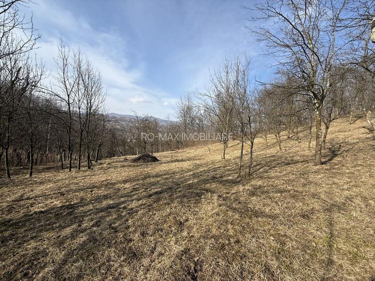 Teren intravilan 2788 mp deschidere 55 ml cu vedere panoramica ! - 6
