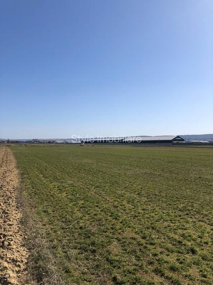 Teren 4.000mp strategic langa Pentarom & Dacia-Renault l Acces DN73 - 5