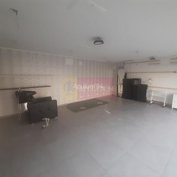 Spatiu Comercial Stradal Șoseaua Colentina zona Teiul Doamnei Suveica - 56