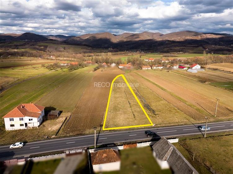 RECO , teren intravilan ,Zona Borod, Bihor - 5