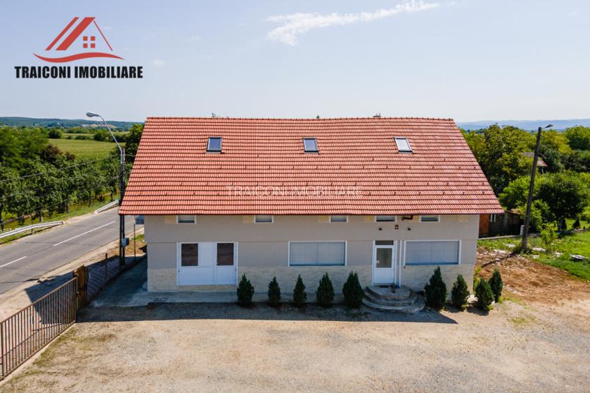 Clădire pensiune-restaurant cu hală și teren 7300mp, Făget ( Timiș ) - 6