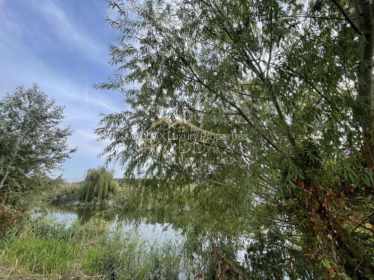 Teren intravilan ***15.000mp*** deschidere Lac Snagov 120ml // Snagov - 11