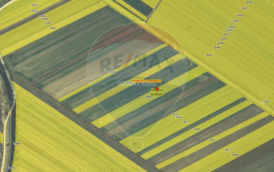 Teren intravilan constructii Stoenesti (Floresti-Stoenesti) / None - 15