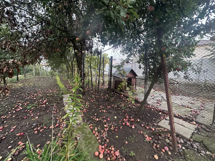 Casa individuală 223 mp| 4 camere| zona Schit - 11