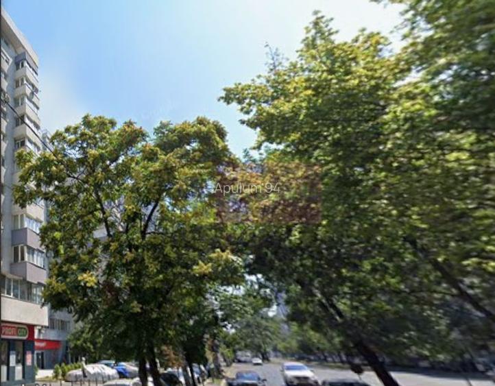 Spatiu comercial la inchiriere pe Titulescu - 3