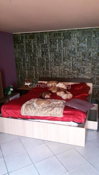 Vand teren cu casa in Utvin - 2