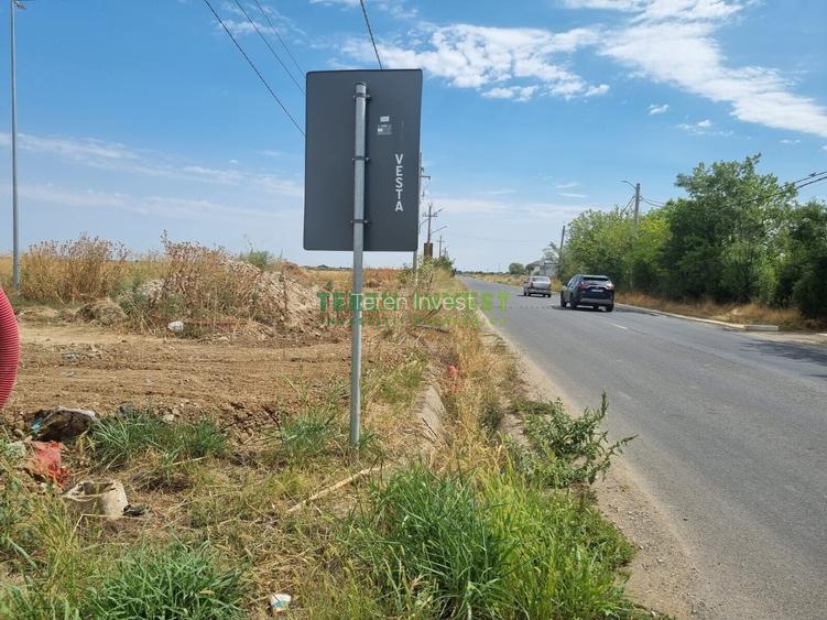 TEREN INDUSTRIAL 42.000 MP - FUNDENI - A2 PUZ APROBAT - 14