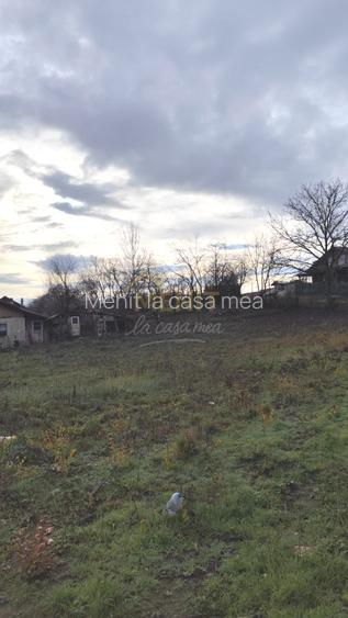 Teren 1100 mp Baicoi - 4