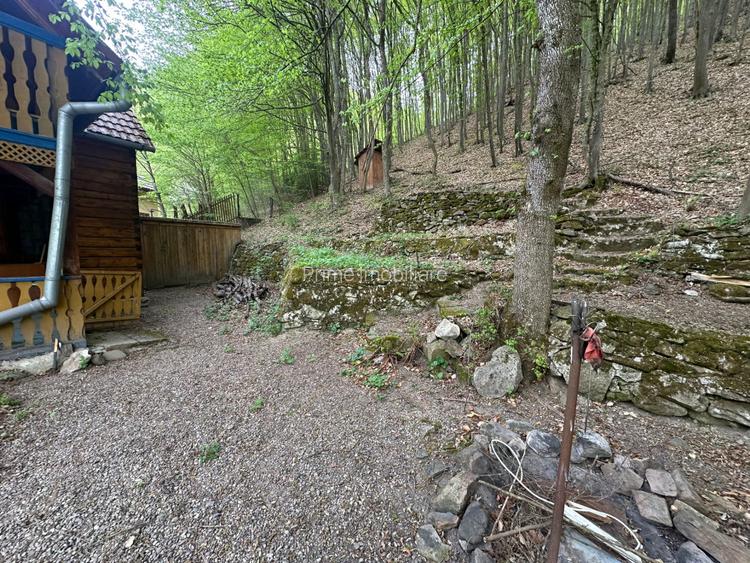 Cabana 5 camere, 75 mp| teren 900 mp| zona Iezer Ighiel - 12