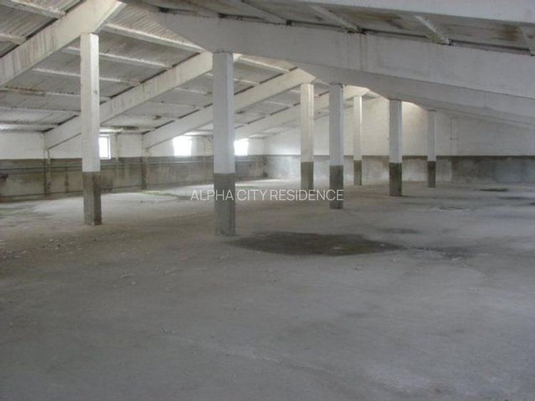 Hala pt depozitare 1200mp in Remetea Mare! Acces TIR - la sosea - 5