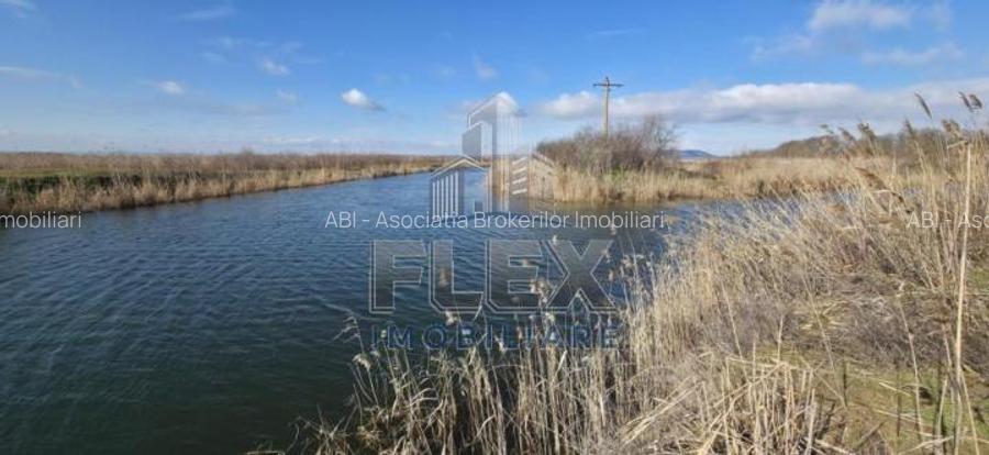 Vanzare Teren Delta Dunarii 3.83 Ha - Oportunitate - 5