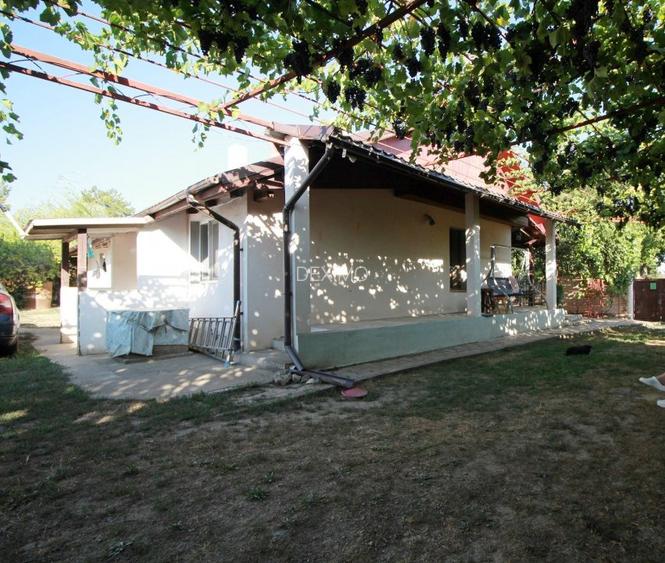 Casa La Tara  - 2700MP - Tichilesti Constanta - Vita De Vie - Pomi Fructiferi - 3