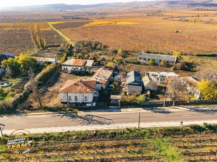 FILM! Domeniu de 4.000 mp intravilan+ casa boiereasca autentica,in podgoriile Od - 9