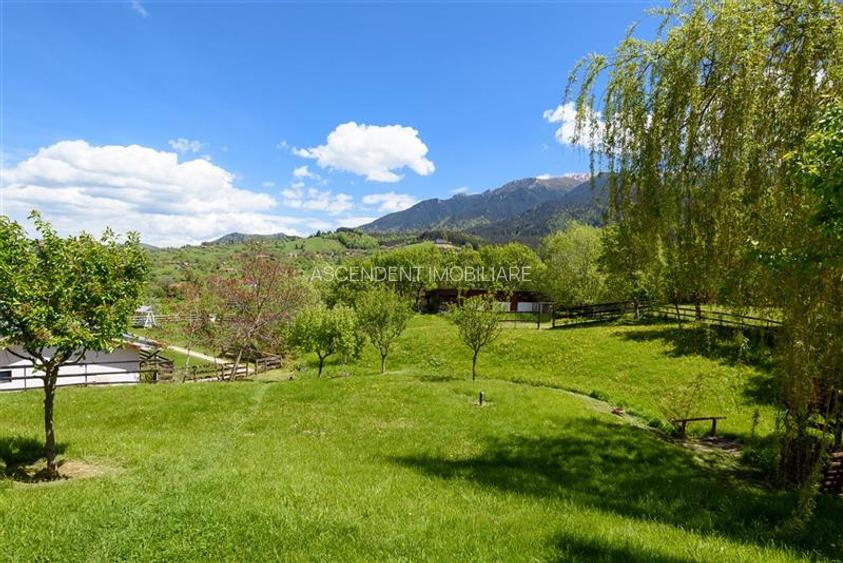 Pensiune cu priveliste fabuloasa, zona boema, Bran, Brasov. - 36