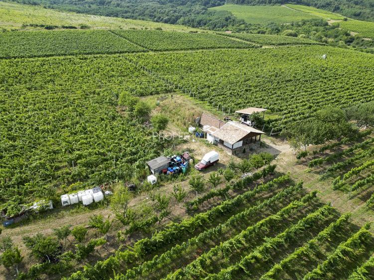 Vie Tradițională „Halta Lupilor” - 45