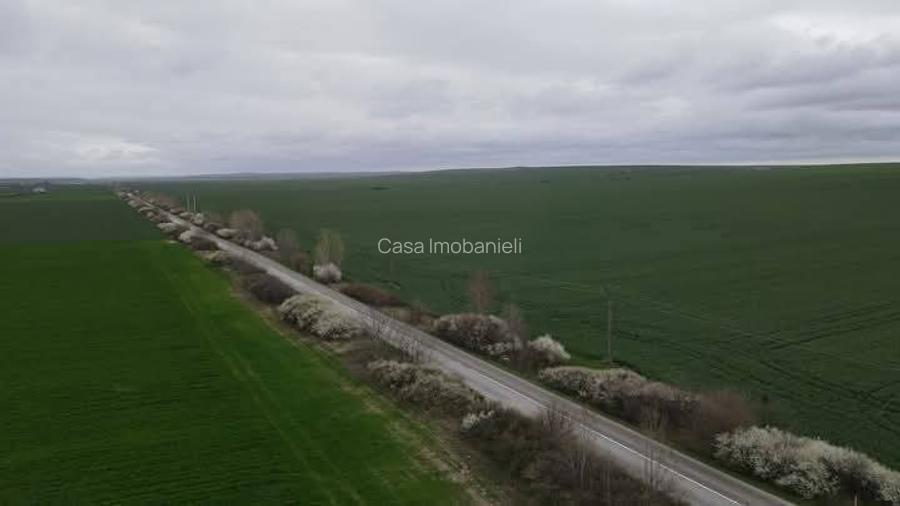 GIARMATA,teren de vanzare,27 ha,front 400 ml,1.900.000 euro - 2