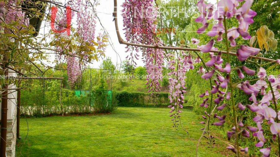 Mansion Luxuriant | Piscina Interioara | Teren tenis | 2500 mp gradina superba - 11