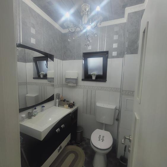 FUNDENI-DOBROIESTI, vila 2014 P+M, singur curte