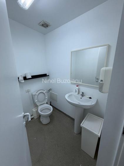 Spatiu 224 mp amenajat tip office, acces separat, Popa Tatu40 A-Cismigiu