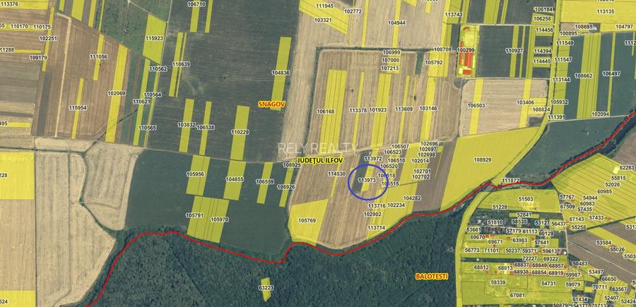 Teren intravilan Snagov / Tancabesti / 3.293 mp / D: 36.57 m / comision 0% - 5