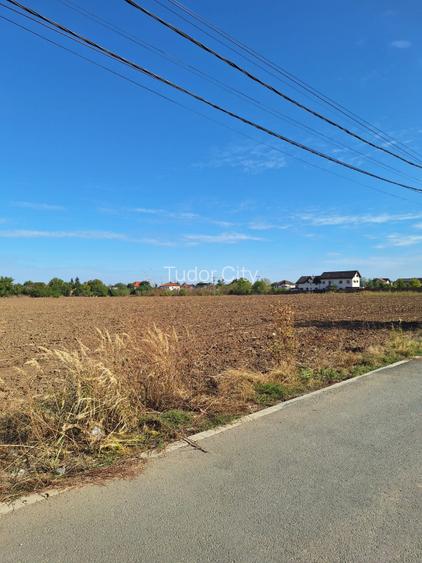 Snagov- Ciofliceni, loturi de casa intre 504-670mp, Șerban Cantacuzino! - 6