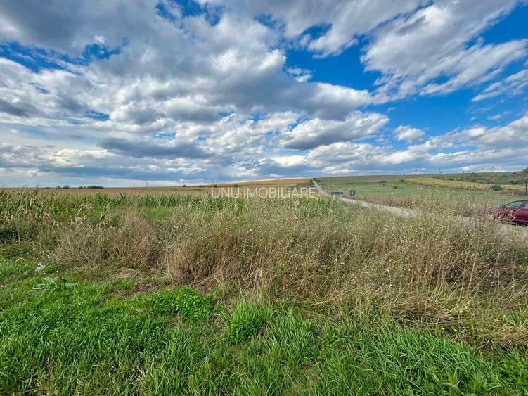 Teren 1.5 HA deschidere 155 m la E85 DN28 nod Autostrada Moldovei A8 intrare Letcani - 6