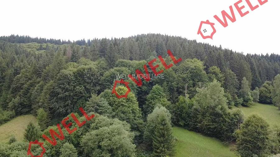 De vânzare teren extravilan în Întorsura Buzăului, pe punctul numit „Tomoja” - 2