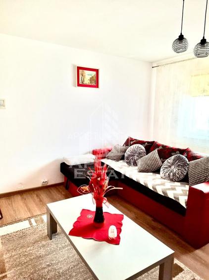 Apartament cu 2 camere semidecomandat in zona Buziasului - 8